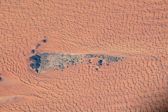 Oasis